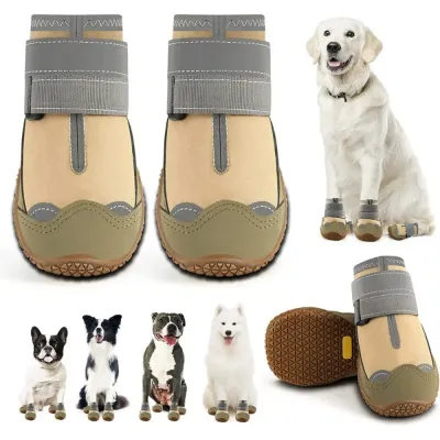 Dog shoes for rough terrain