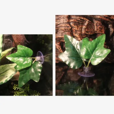 A practical and decorative terrarium addition that simulates natural foliage while providing a safe and effective way for reptiles to access water.