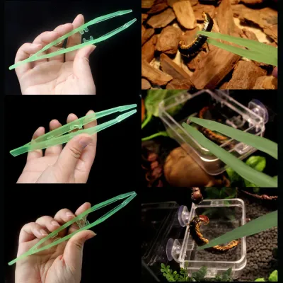 Flexible Glow-in-the-Dark Feeding Tongs for Reptiles Tortoises Lizards Frogs (8) Elastic and flexible structure ensures a firm yet gentle grip