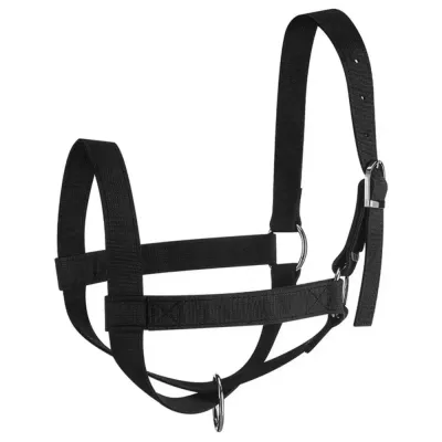 Nylon horse gear