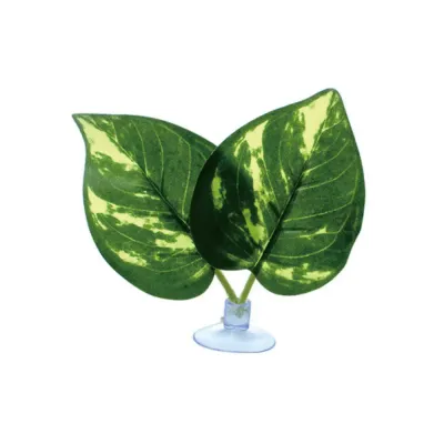 Reptile drinking leaf with realistic texture and design