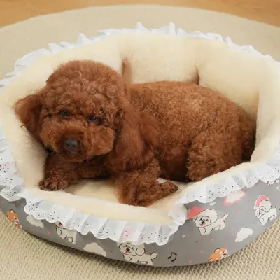 winter floral pet bed with thick padding, non-slip base, and a removable, washable cover for easy maintenance (3) Moisture-resistant base keeps the sleeping area dry and fresh