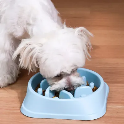 Pet Dog Slow Feeder Bowl Pet Dog Slow Feeder Bowl