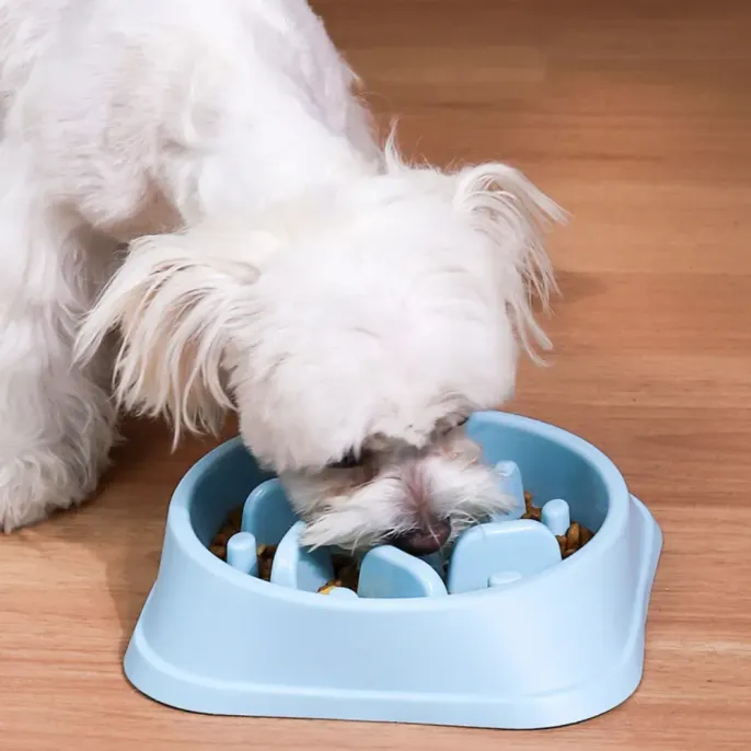 Pet Dog Slow Feeder Bowl Pet Dog Slow Feeder Bowl