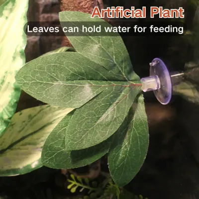 Perfect for creating a rainforest or jungle reptile setup (4) Creates a realistic and enriching reptile habitat