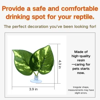 Non-toxic reptile decor for safe and comfortable habitats