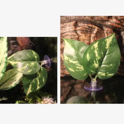 Water-dripping leaf to encourage natural drinking behavior