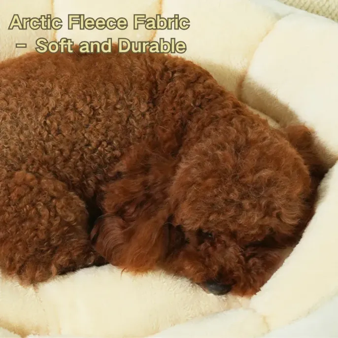 Removable cushion design for easy cleaning and maintenance