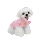 Dog Short Sleeve Dog Short Sleeve