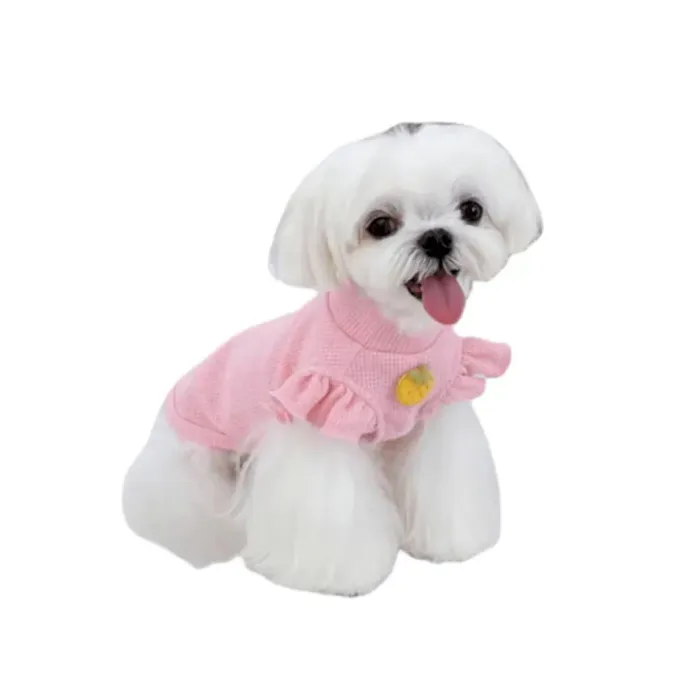 Dog Short Sleeve Dog Short Sleeve