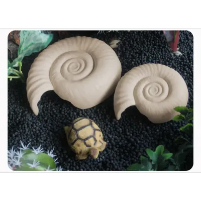 Spiral shell design blends with terrarium landscape