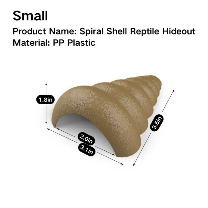 Realistic shell hideout for amphibians and arachnids