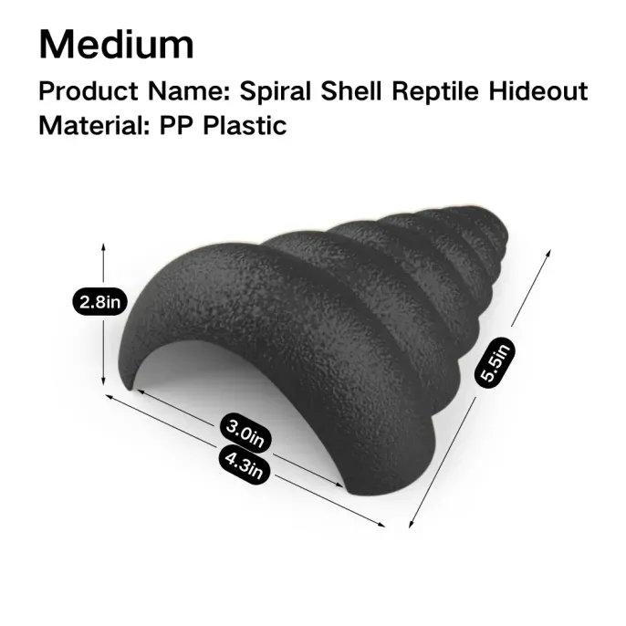 Decorative shell hideout for desert terrariums