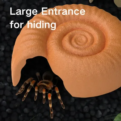 Spacious reptile cave with smooth interior surface