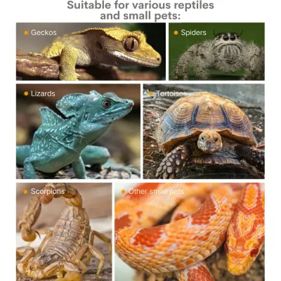 Multi-purpose hide for geckos, scorpions, and snails