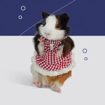 Easy-Adjust Harness Pet Travel Easy-Adjust Harness