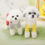 Dog Strap Pants bulk