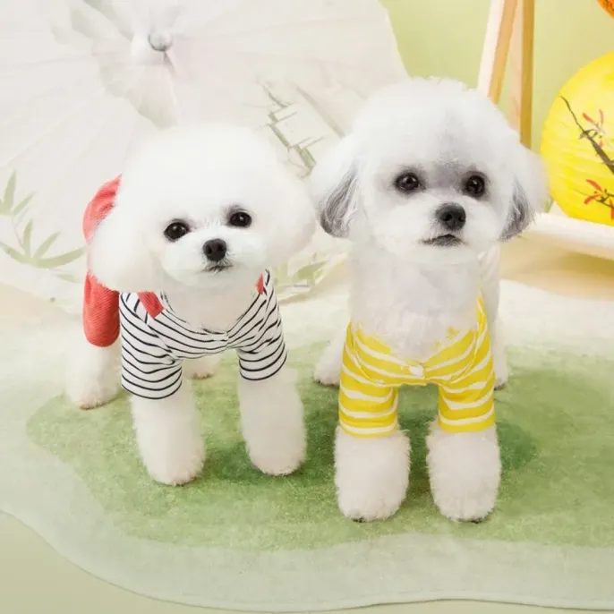 Dog Strap Pants bulk