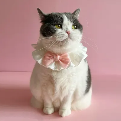 Cat Bib Polyester Pet Accessory