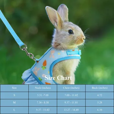 Comfortable Pet Harness Attached Leash Harness
