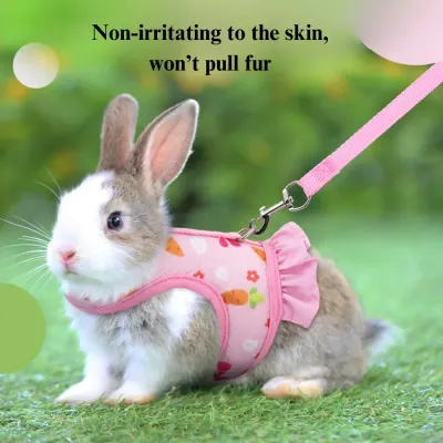 Attached Leash Harness Guinea Pig Harness