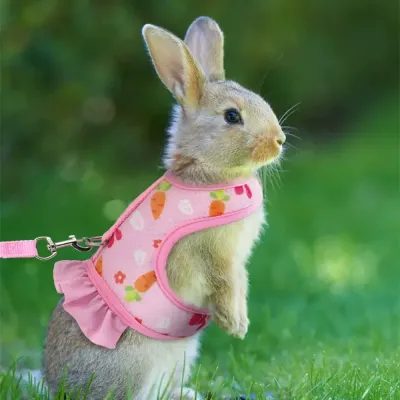 Rabbit Harness Polyester and Nylon Harness