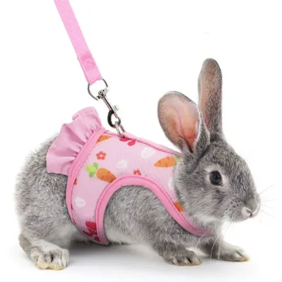 Rabbit and Cat Harness