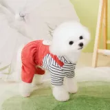 Dog Strap Pants