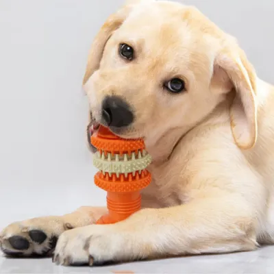 Hot Dog Chew Treat Toy Quality Hot Dog Chew Treat Toy Quality