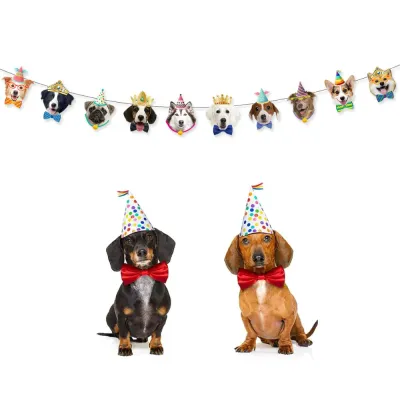 Pet Party Decoration Banner