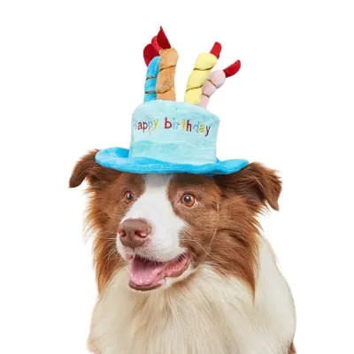 Pet Party Supplies