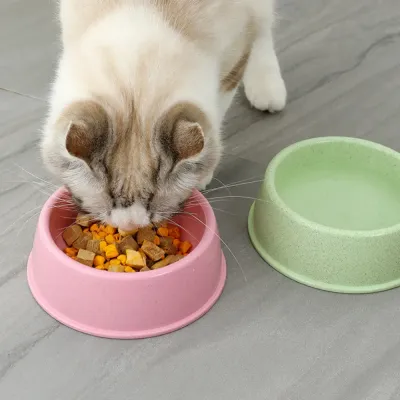 Bulk Cat Dog Food Bowls Bulk Cat Dog Food Bowls