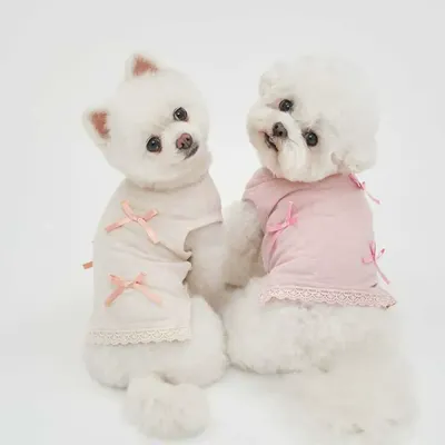 Summer Pet T-shirt Summer Pet T-shirt