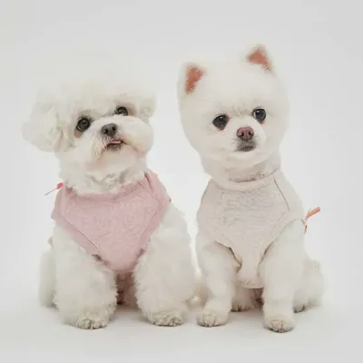 Cotton Blend Material Dog and Cat Fashion Knitted Vest