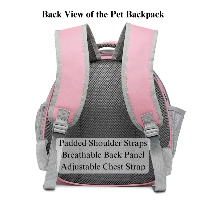 Adjustable Straps Transparent Pet Backpack