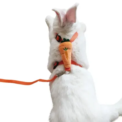 rabbit harness set rabbit harness set