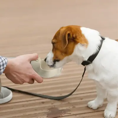 Outdoor Pet Dispenser Wholesaler Outdoor Pet Dispenser Wholesaler