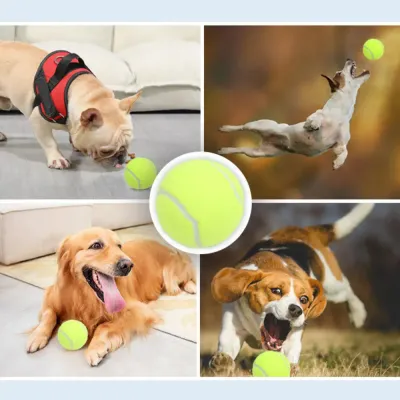 Great Tennis Ball Dog Toy New