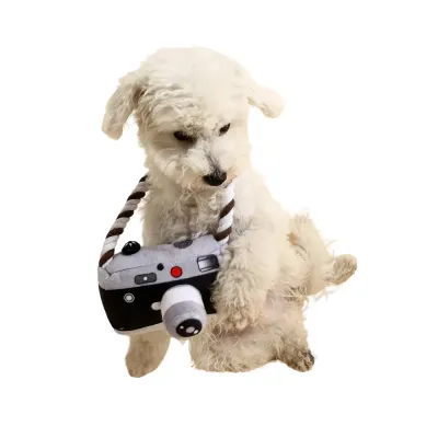 Soft Camera-Shaped Dog Toy with Squeaker and Rope
