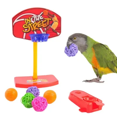 Interactive Durable Basketball Bird Toy for Exercise and Fun Birds Interactive Durable Basketball Bird Toy for Exercise and Fun