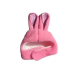 Cute Plush Glitter Bunny Ear Cap for Cats