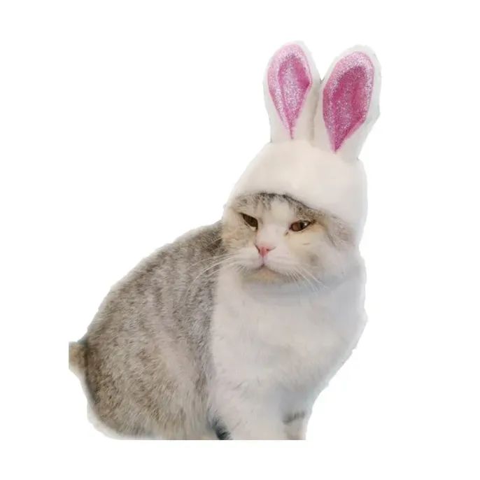Cute Plush Glitter Bunny Ear Cap for Cats