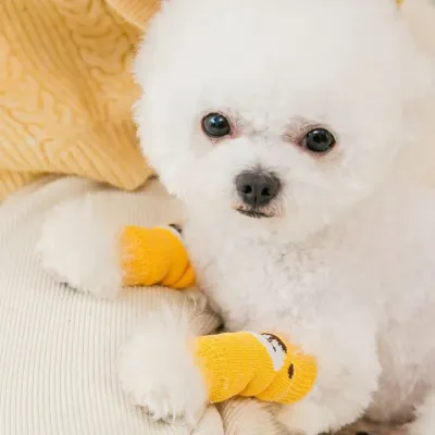 Hot Dog Socks Hot Dog Socks