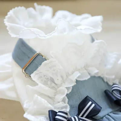Stylish Denim Dog Dress Outfit for Small Breeds