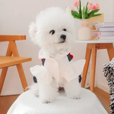 Breathable Little Red Flower Denim Dog Dress
