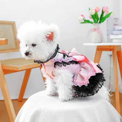 Blackberry Sweetheart FLace Tulle Dog Dress for small dogs Blackberry Sweetheart Lace Tulle Dog Dress