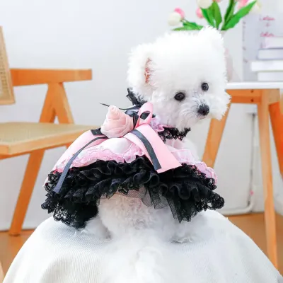 Blackberry Sweetheart FLace Tulle Dog Dress dog clothes Blackberry Sweetheart Lace Tulle Dog Dress