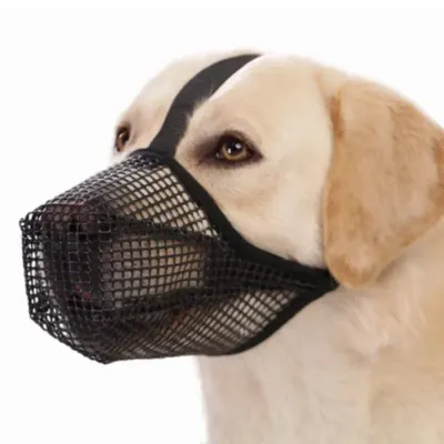 Breathable Dog Muzzle Breathable Dog Muzzle