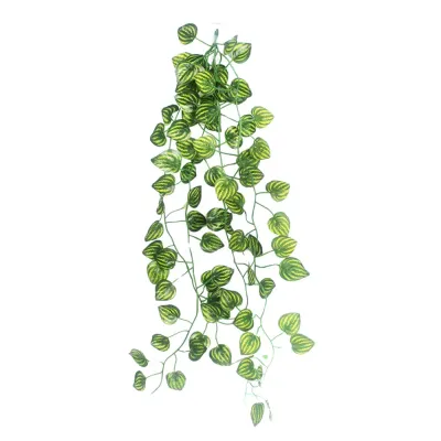 Flexible artificial vines with suction cups