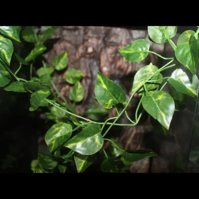 Pet shop display accessories for reptile cages